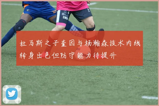 杜马斯之子奎因与杨瀚森技术内线转身出色但防守能力待提升