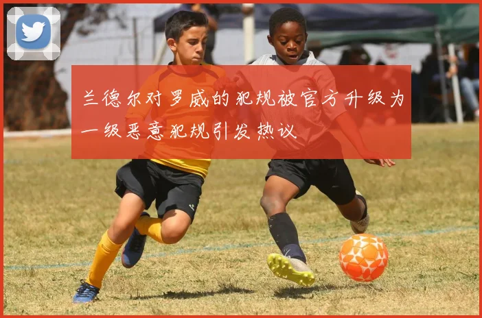 兰德尔对罗威的犯规被官方升级为一级恶意犯规引发热议