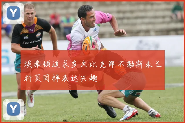 埃弗顿追求多夫比克那不勒斯米兰科莫同样表达兴趣