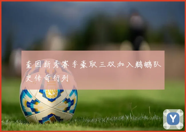 奎因新秀赛季豪取三双加入鹈鹕队史传奇行列